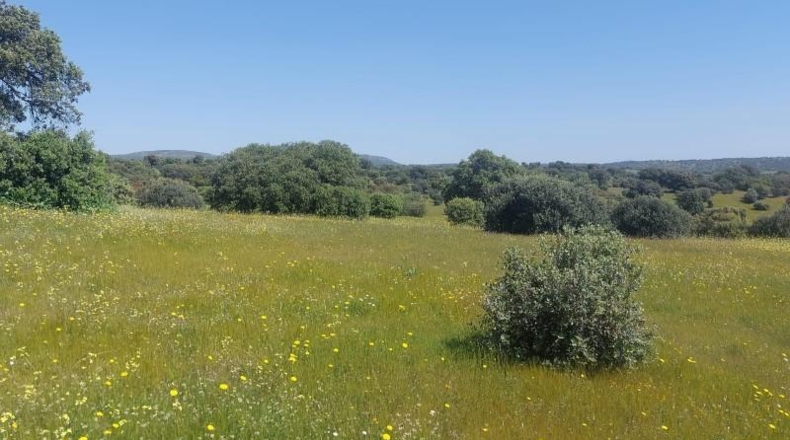 Jaén - Aldeaquemada - 80000m2