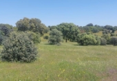 Non-developable land for sale on España, Aldeaquemada, ref: TR378108 photo