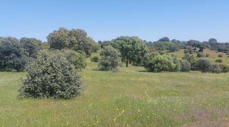 Jaén - Aldeaquemada - 80000m2