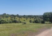 Non-developable land for sale on España, Aldeaquemada, ref: TR378108 photo