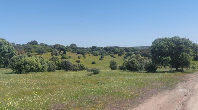 Jaén - Aldeaquemada - 80000m2