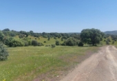 Non-developable land for sale on España, Aldeaquemada, ref: TR378108 photo