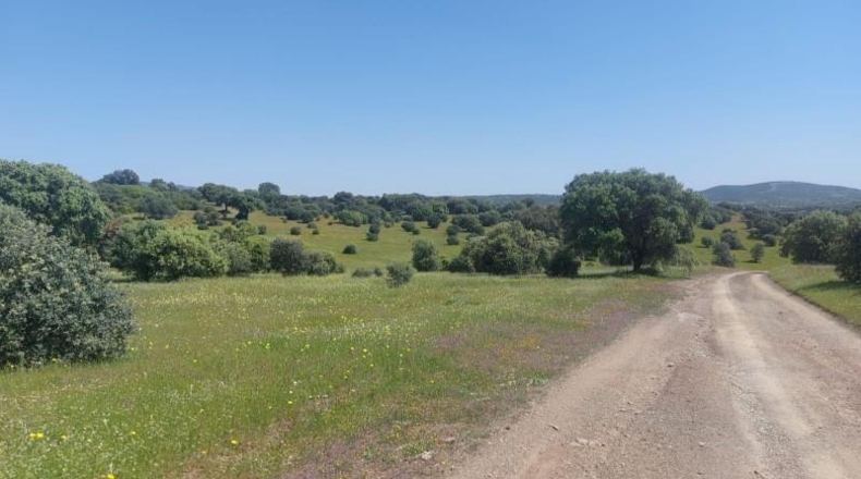 Jaén - Aldeaquemada - 80000m2