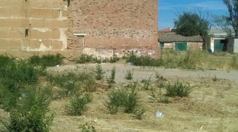Guadalajara - Yunquera de Henares - 3781m2