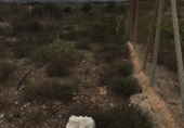 Chalet independiente con terreno en venta en la España, Lorca, ref: TR301238 foto
