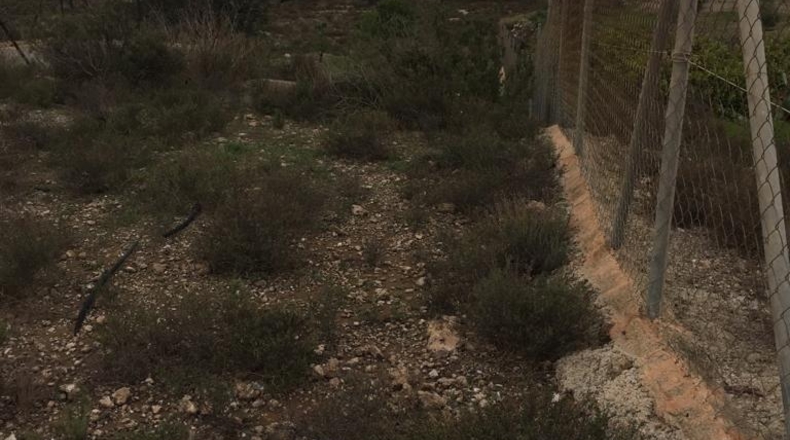 Murcia - Lorca - 43200m2