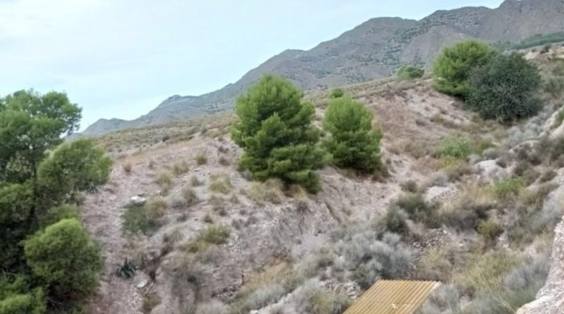 Murcia - Lorca - 43200m2