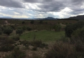 Chalet independiente con terreno en venta en la España, Lorca, ref: TR301238 foto