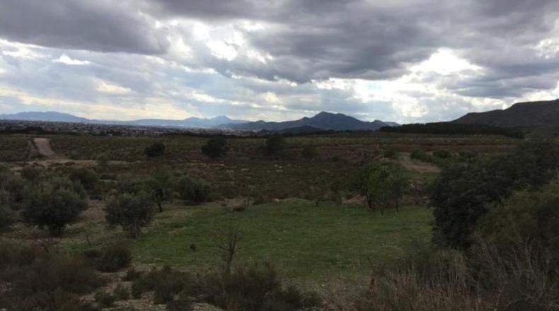 Murcia - Lorca - 43200m2