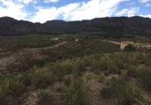 Chalet independiente con terreno en venta en la España, Lorca, ref: TR301238 foto
