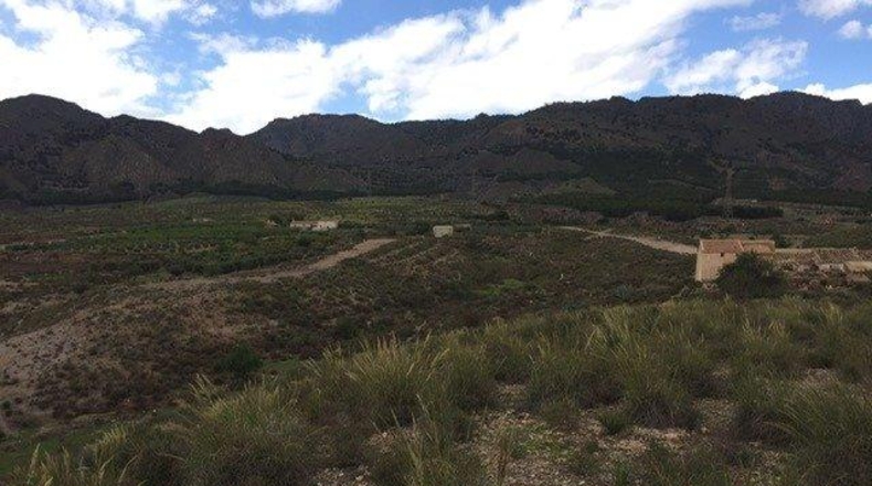 Murcia - Lorca - 43200m2