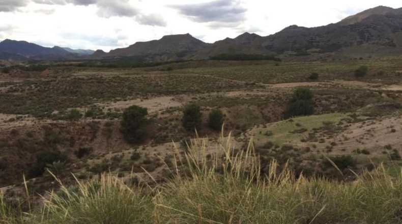 Murcia - Lorca - 43200m2