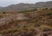 Chalet independiente con terreno en venta en la España, Lorca, ref: TR301238 foto