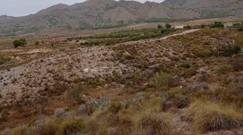 Murcia - Lorca - 43200m2