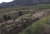 Chalet independiente con terreno en venta en la España, Lorca, ref: TR301238 foto