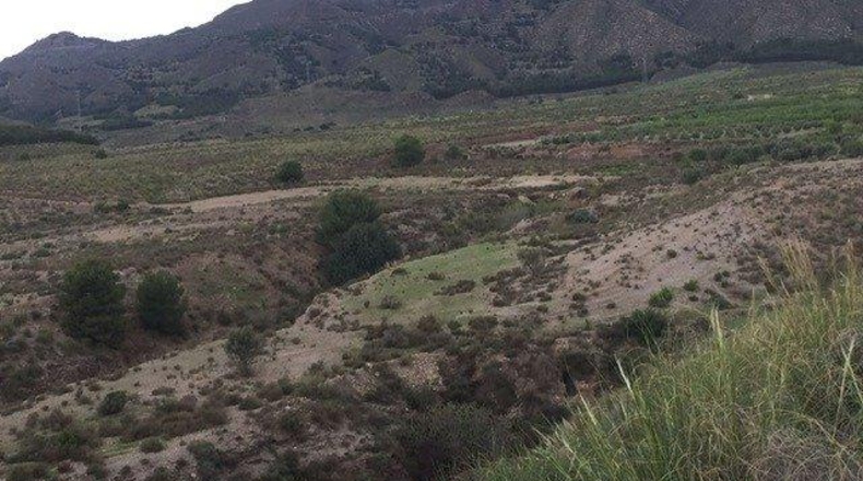 Murcia - Lorca - 43200m2