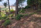 Parcel·la urbanitzable en venda a la España, Abrera, ref.: TR128999 foto