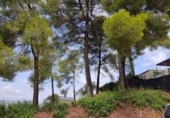 Parcel·la urbanitzable en venda a la España, Abrera, ref.: TR128999 foto