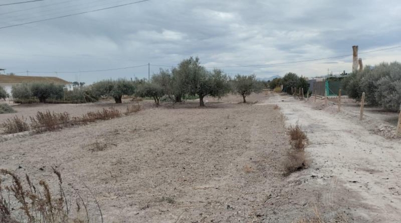 Murcia - Лорка - 5589m2