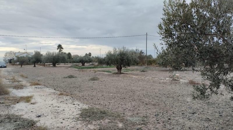 Murcia - Лорка - 5589m2
