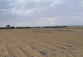 Sòl urbà en venda a la España, Lorca, ref.: TR368966 foto