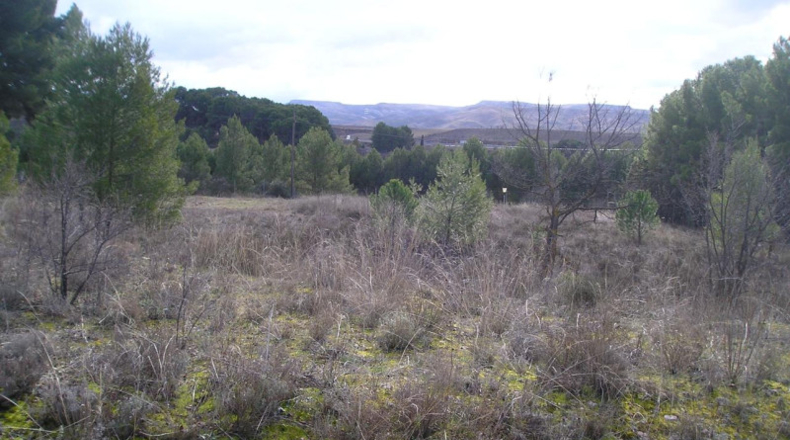 Zaragoza - Calatayud - 1604m2