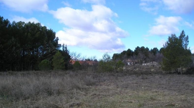 Zaragoza - Calatayud - 1604m2