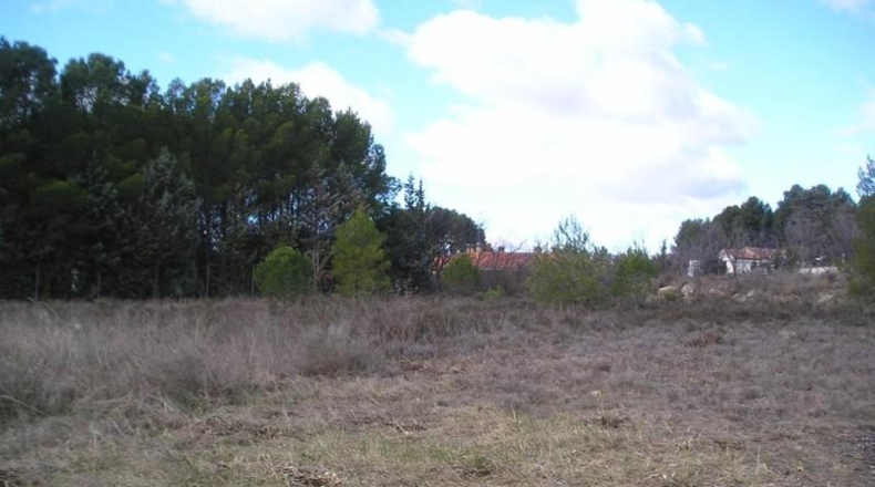 Zaragoza - Calatayud - 1604m2