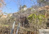 Suelo urbano en venta en la España, Valdelaguna, ref: TR341821 foto