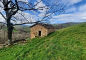 Xalet independent amb terreny en venda a la España, Selaya, ref.: TR290829 foto