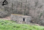 Xalet independent amb terreny en venda a la España, Selaya, ref.: TR290829 foto
