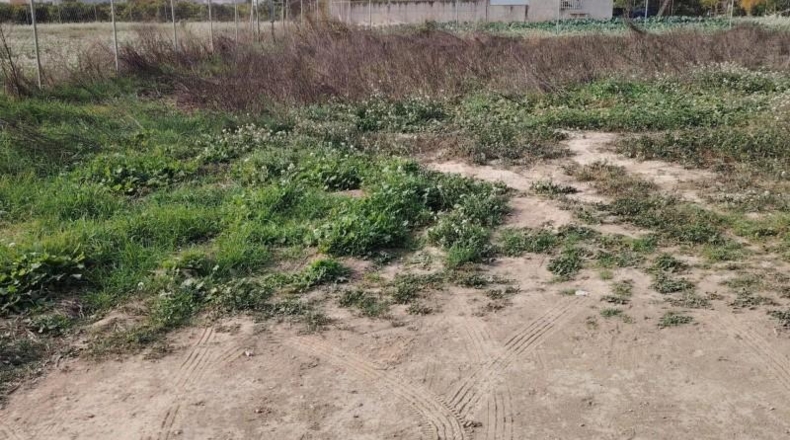 Мурсия - Murcia - 2430m2