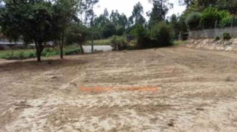 Pontevedra - Porriño - 1132m2