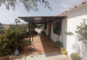 Xalet independent amb terreny en venda a la España, La Solana, ref.: TR299100 foto