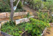 Urban land for sale on España, Lloret de Mar, ref: TR119312 photo