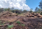 Urban land for sale on España, Seva, ref: TR123499 photo