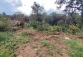 Urban land for sale on España, Seva, ref: TR123499 photo