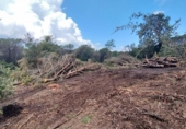 Urban land for sale on España, Seva, ref: TR123499 photo
