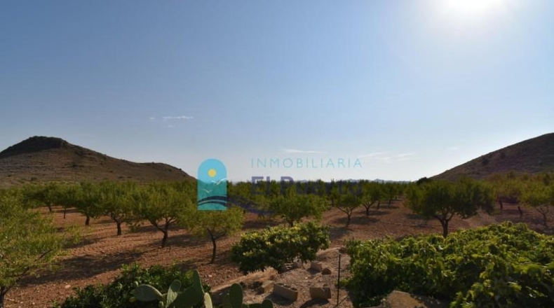 Murcia - Mazarrón - 40000m2