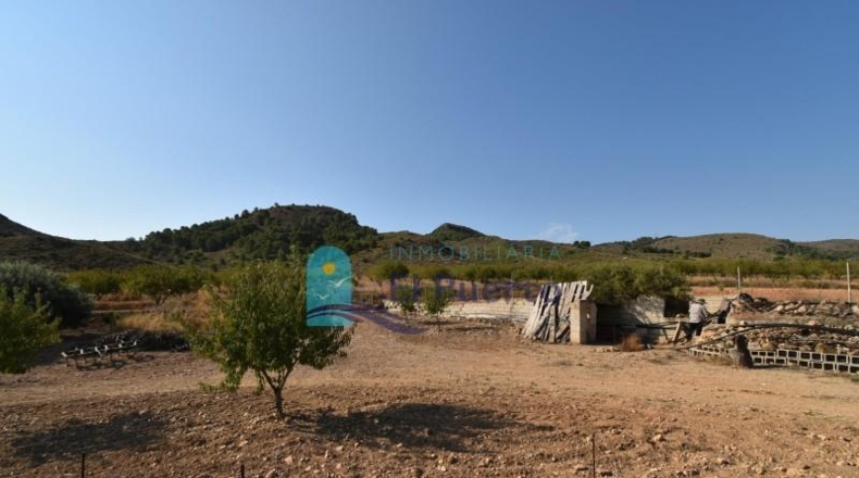 Murcia - Mazarrón - 40000m2