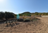 Terreno no urbanizable en venta en la España, Mazarrón, ref: TR330230 foto