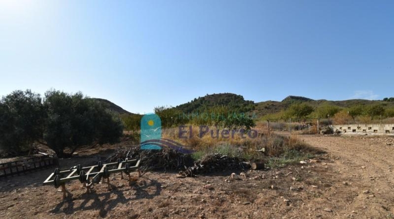 Murcia - Mazarrón - 40000m2