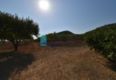 Terreno no urbanizable en venta en la España, Mazarrón, ref: TR330230 foto