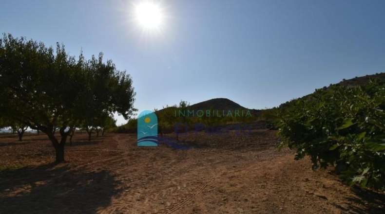 Murcia - Mazarrón - 40000m2