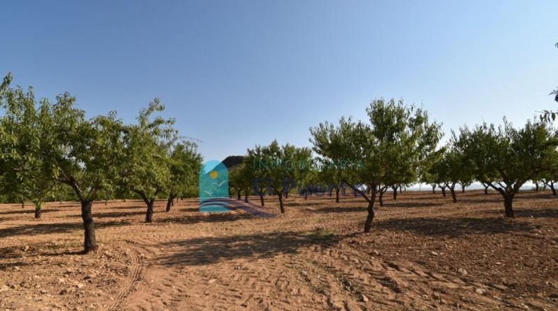 Murcia - Mazarrón - 40000m2