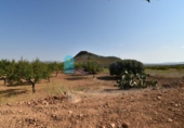 Terreno no urbanizable en venta en la España, Mazarrón, ref: TR330230 foto