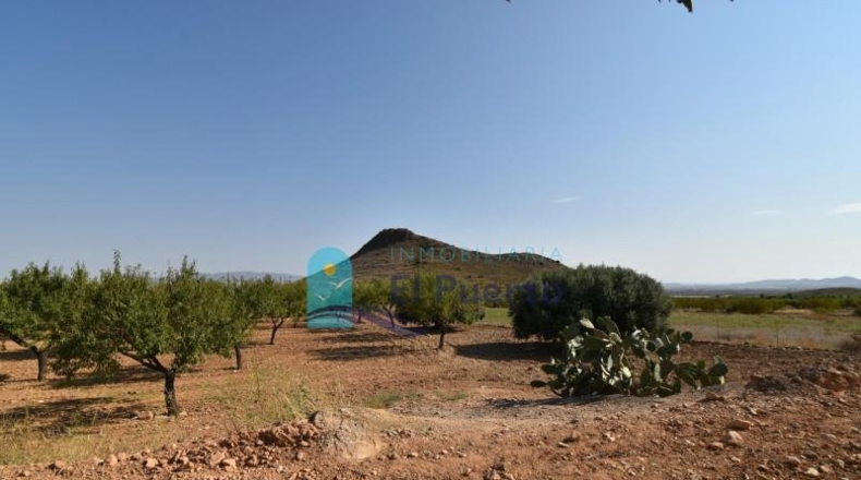 Murcia - Mazarrón - 40000m2