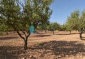 Terreno no urbanizable en venta en la España, Mazarrón, ref: TR330230 foto