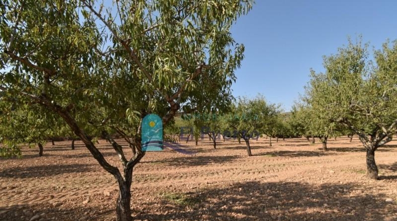 Murcia - Mazarrón - 40000m2