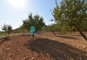 Terreno no urbanizable en venta en la España, Mazarrón, ref: TR330230 foto